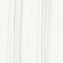 CISA