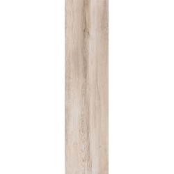 Cerdisa