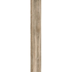 Cerdisa
