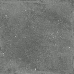 Flaviker