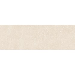 Porcelanite