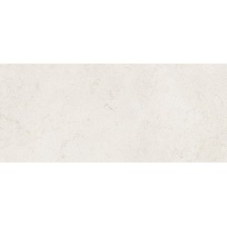 Porcelanite