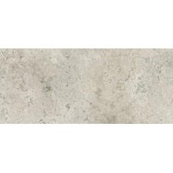 Porcelanite