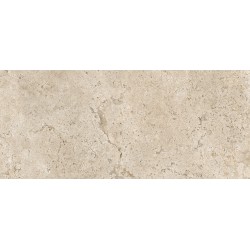 Porcelanite