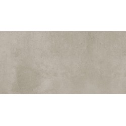 Porcelanite