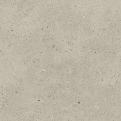 Porcelanite