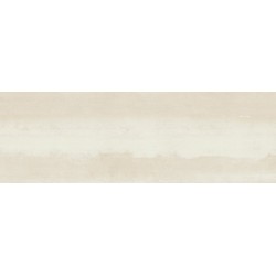 Porcelanite
