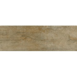 Porcelanite