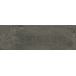 Porcelanite