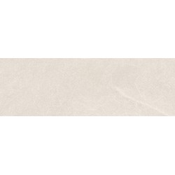 Porcelanite
