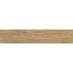 Porcelanite