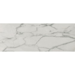 Porcelanite