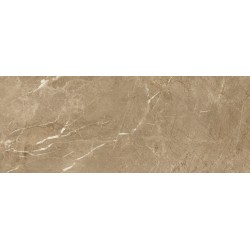 Porcelanite