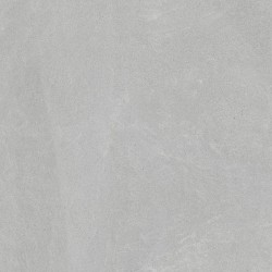 Porcelanite