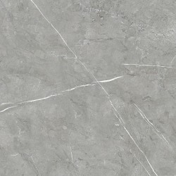 Porcelanite