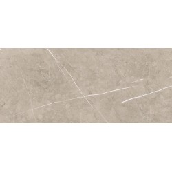 Porcelanite