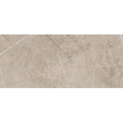 Porcelanite