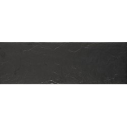 Porcelanite