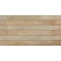Porcelanite