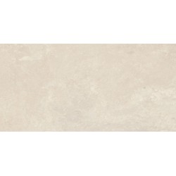 Porcelanite