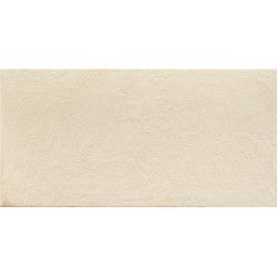 Porcelanite