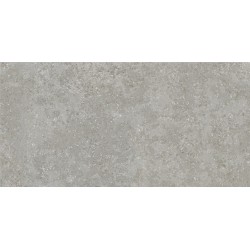 Porcelanite