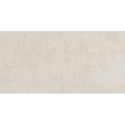 Porcelanite