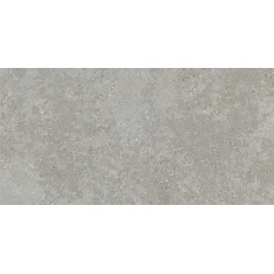 Porcelanite