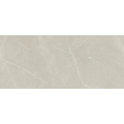 Porcelanite