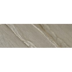Porcelanite