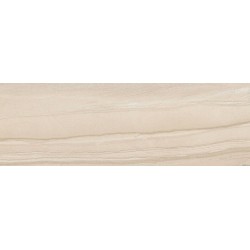 Porcelanite