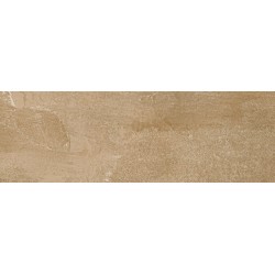 Porcelanite