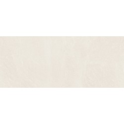 Porcelanite