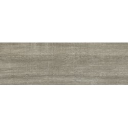 Porcelanite