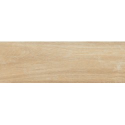 Porcelanite