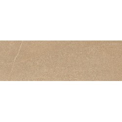 Porcelanite