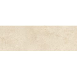 Porcelanite