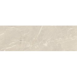 Porcelanite