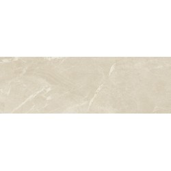 Porcelanite