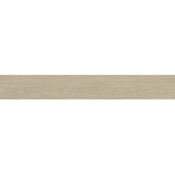 Porcelanite