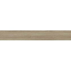Porcelanite