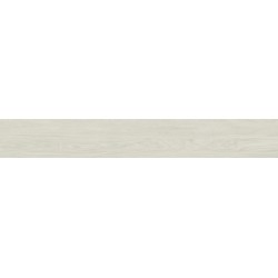 Porcelanite