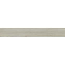 Porcelanite