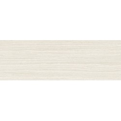 Porcelanite