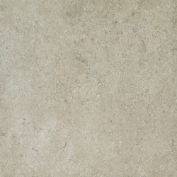 Apavisa