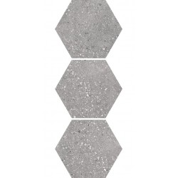 Apavisa